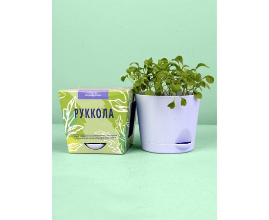 Набор для выращивания растений Тысяча листьев Руккола tl-017 – изображение 5