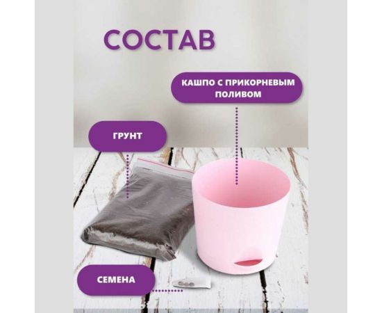 Набор для выращивания растений Тысяча Листьев Анютины глазки tl-001 – изображение 5