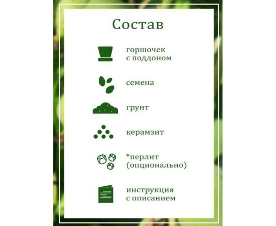 Набор для выращивания растений Вырасти,Дерево! Киви зимостойкое zk-095 – изображение 5
