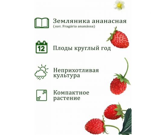 Набор для выращивания растений Вырасти,Дерево! Земляника ананасная zk-038 – изображение 5