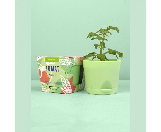 Набор для выращивания растений Тысяча листьев Томат черри tl-011 – изображение 5