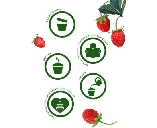 Подарочный набор для выращивания растений Вырасти,Дерево! Земляника ананасная zk-114 – изображение 5