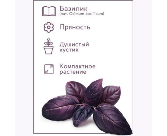 Набор для выращивания растений Тысяча Листьев Базилик фиолетовый tl-016 – изображение 6