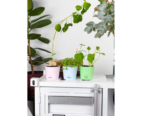 Набор для выращивания растений Тысяча листьев Руккола tl-017 – изображение 6