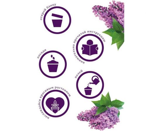 Набор для выращивания растений Вырасти,Дерево! Сирень венгерская zk-053 – изображение 6