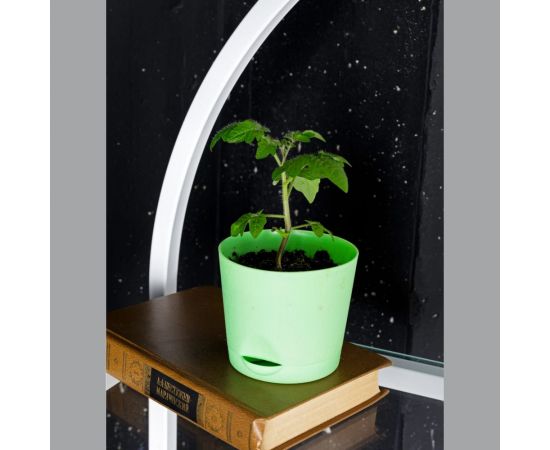 Набор для выращивания растений Тысяча листьев Томат черри tl-011 – изображение 6