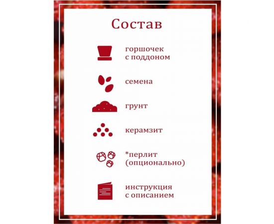Набор для выращивания растений Вырасти,Дерево! Земляника ананасная zk-038 – изображение 6