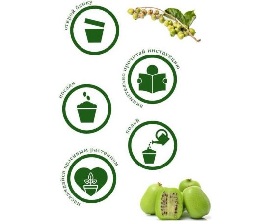 Набор для выращивания растений Вырасти,Дерево! Киви зимостойкое zk-095 – изображение 6