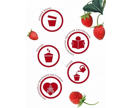 Набор для выращивания растений Вырасти,Дерево! Земляника ананасная zk-038 – изображение 7