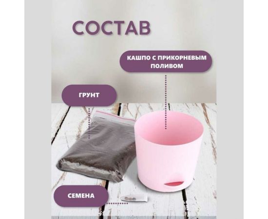 Набор для выращивания растений Тысяча Листьев Базилик фиолетовый tl-016 – изображение 7