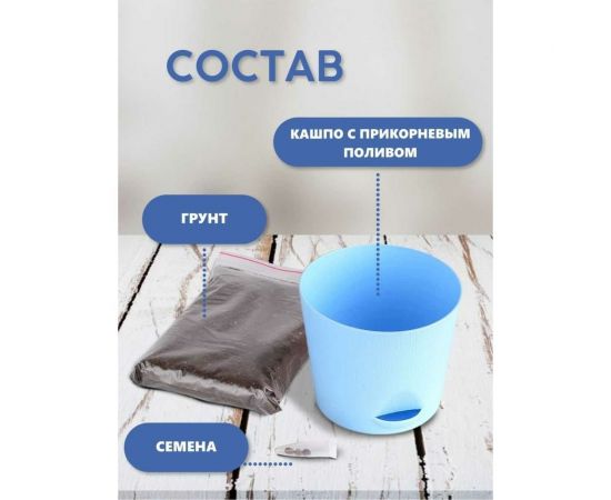 Набор для выращивания растений Тысяча листьев Руккола tl-017 – изображение 8