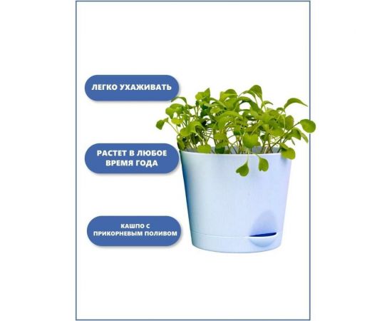 Набор для выращивания растений Тысяча листьев Руккола tl-017 – изображение 9