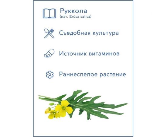 Набор для выращивания растений Тысяча листьев Руккола tl-017 – изображение 10