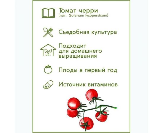 Набор для выращивания растений Тысяча листьев Томат черри tl-011 – изображение 10