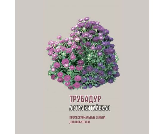 Семена Агрони Астра китайская ТРУБАДУР 2066 