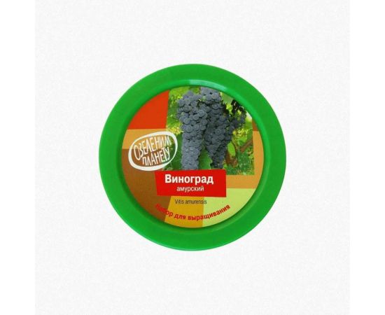 Набор для выращивания растений Вырасти,Дерево! Виноград зимостойкий Амурский zk-057 – изображение 2