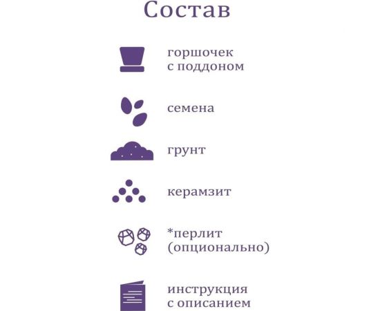 Набор для выращивания растений Вырасти,Дерево! Виноград зимостойкий Амурский zk-057 – изображение 4