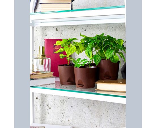 Набор для выращивания растений Plant Republic Перец острый Хабанеро Хот pr-001 – изображение 5