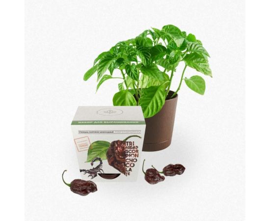 Набор для выращивания растений Plant Republic Перец острый Тринидад Скорпион Шоколадный pr-004 – изображение 6