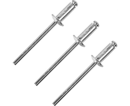 Заклепки Спец 4,0x12 мм, 50 шт., пэ пакет СПЕЦ-3525 