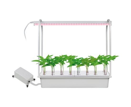 Набор для гидропоники Uniel ULT-P44C-10W/SPLE IP20 AQUA WHITE Минисад AQUA UL-00004497 