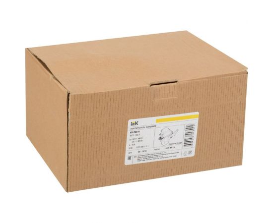 Концевой выключатель IEK КУ-703 У1, рычаг с грузом, 10А, IP44, 2 эл. цепи KV-1-703-1 – изображение 2