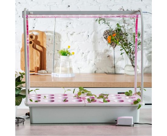 Набор для гидропоники Uniel ULT-P44C-10W/SPLE IP20 AQUA WHITE Минисад AQUA UL-00004497 – изображение 4