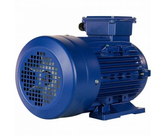 Электродвигатель 5АИ 100 L4 4/1500 IM 1081 01.01.213680 