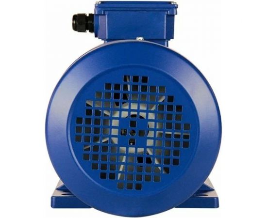 Электродвигатель 5АИ 100 L4 4/1500 IM 1081 01.01.213680 – изображение 2