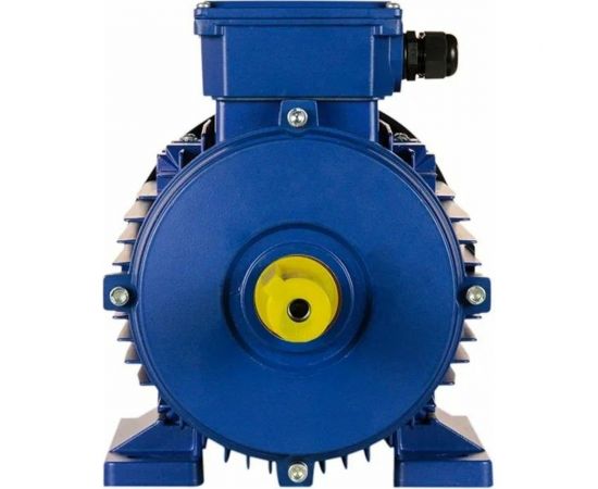 Электродвигатель 5АИ 100 L4 4/1500 IM 1081 01.01.213680 – изображение 3