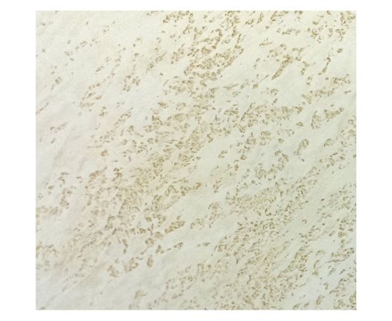 Декоративная штукатурка DESSA DECOR ""Травертино"" декоративная для имитации бетона и камня, 7 кг 705590 – изображение 4