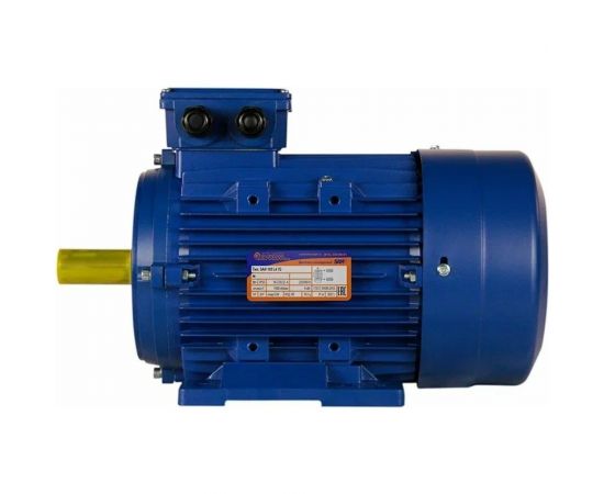 Электродвигатель 5АИ 100 L4 4/1500 IM 1081 01.01.213680 – изображение 5