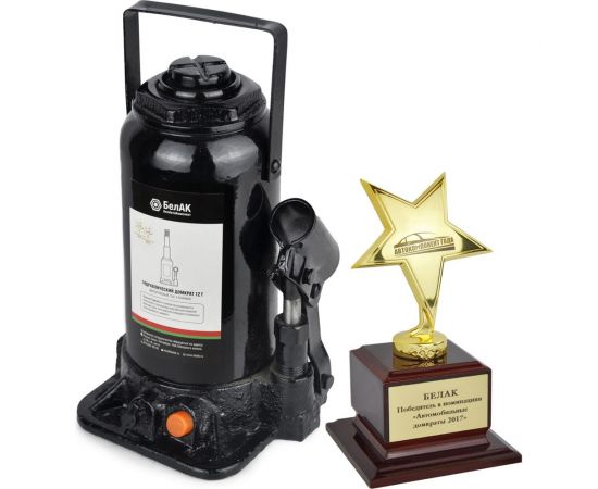 Двухштоковый домкрат БелАК БАК.20046 (12 тонн) – изображение 3