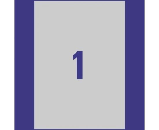 Самоклеящиеся этикетки Avery Zweckform серебристые полиэстер 210x297 мм 20 шт. L6013-20 