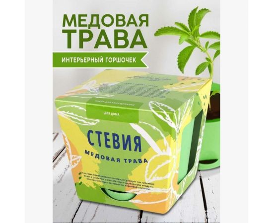 Набор для выращивания растений Тысяча листьев Стевия (медовая трава) tl-008 – изображение 4
