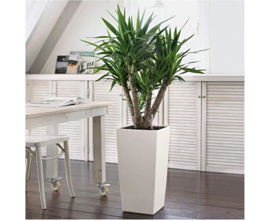 Кашпо Lechuza Cubico Color Complete Белый 22x22xH41 см 13160 – изображение 6