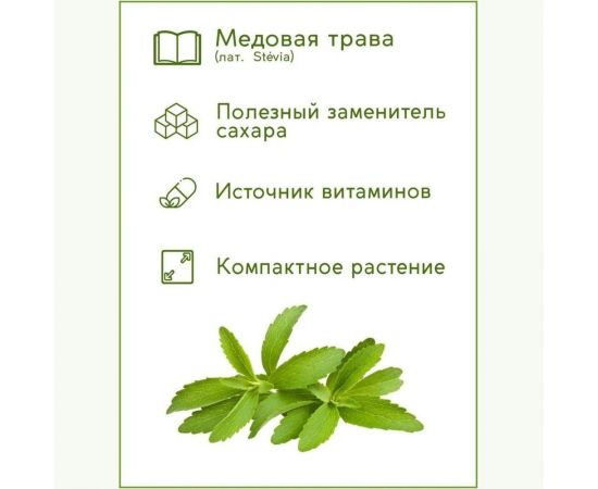 Набор для выращивания растений Тысяча листьев Стевия (медовая трава) tl-008 – изображение 7