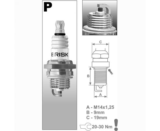 Свеча зажигания для бензопил, газонокосилок, генераторов GARDEN 3037 BRISK P15Y – изображение 2