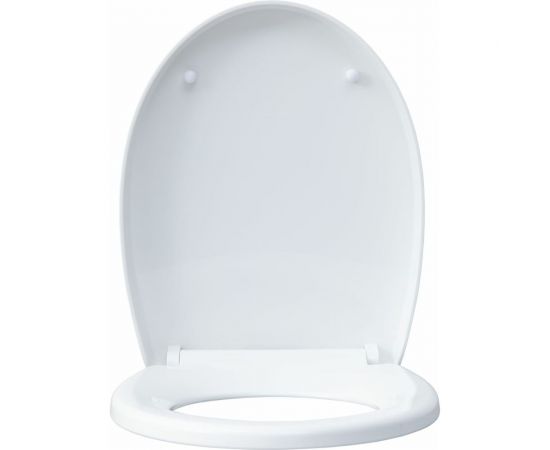 Подвесной унитаз с сидением Aquanet ZVEZDA -1 Soft Close -SLIMSEAT 00303977 – изображение 2