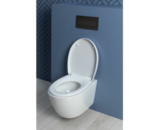 Подвесной унитаз с сидением Aquanet ZVEZDA -1 Soft Close -SLIMSEAT 00303977 – изображение 22
