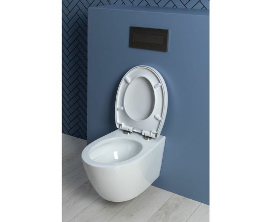 Подвесной унитаз с сидением Aquanet ZVEZDA -1 Soft Close -SLIMSEAT 00303977 – изображение 23