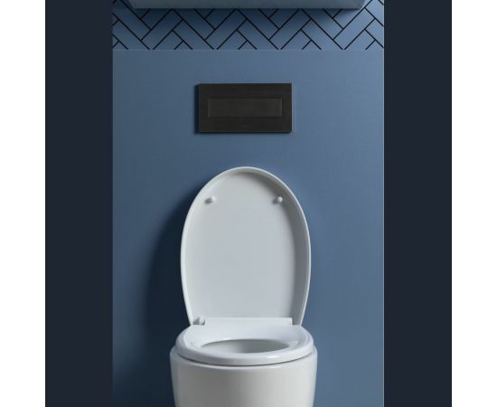 Подвесной унитаз с сидением Aquanet ZVEZDA -1 Soft Close -SLIMSEAT 00303977 – изображение 27