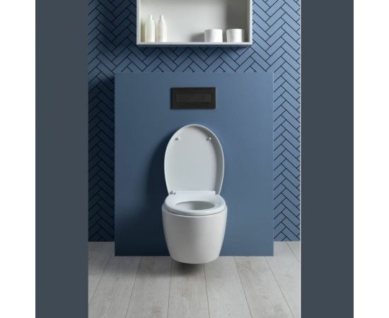 Подвесной унитаз с сидением Aquanet ZVEZDA -1 Soft Close -SLIMSEAT 00303977 – изображение 28