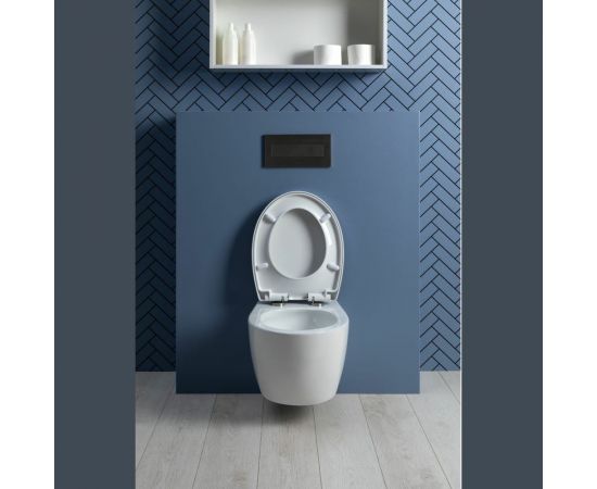 Подвесной унитаз с сидением Aquanet ZVEZDA -1 Soft Close -SLIMSEAT 00303977 – изображение 29