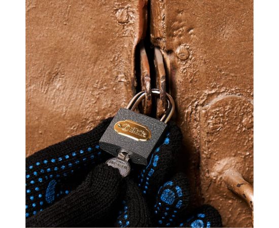 Навесной замок ЧЕТЫРЕ СЕЗОНА Чугун 40 мм 79-0004 – изображение 3