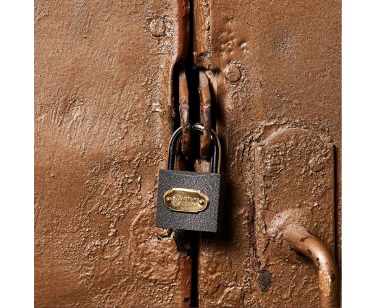 Навесной замок ЧЕТЫРЕ СЕЗОНА Чугун 40 мм 79-0004 – изображение 4