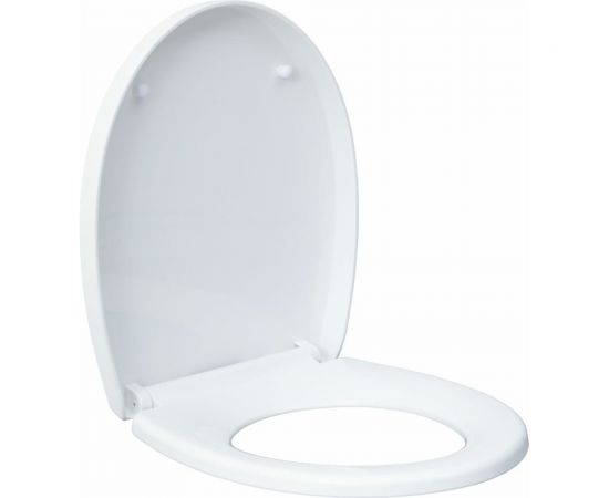 Подвесной унитаз с сидением Aquanet ZVEZDA -1 Soft Close -SLIMSEAT 00303977 – изображение 6