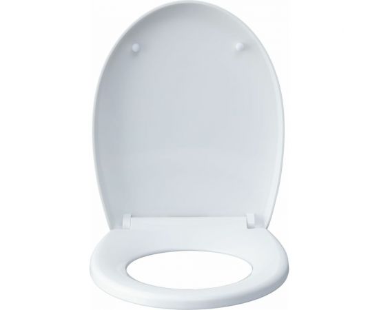 Подвесной унитаз с сидением Aquanet ZVEZDA -1 Soft Close -SLIMSEAT 00303977 – изображение 9