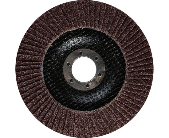 Круг лепестковый торцевой STANDARD 2 (125x22.2 мм; Р40) TOTFLEX 4631148128125 – изображение 2