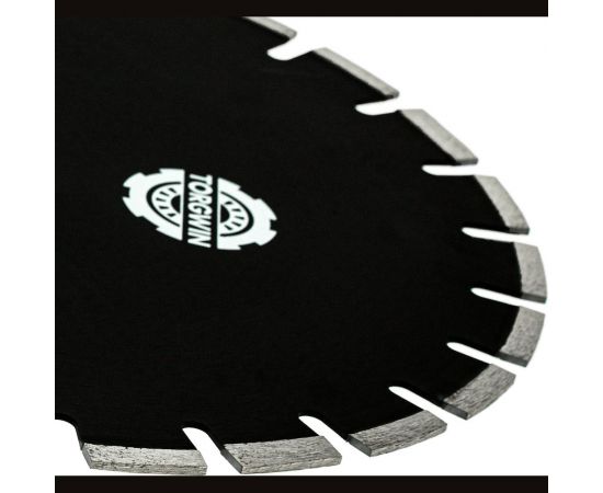 Алмазный диск сегментированный по асфальту 450х10х25.4 мм TORGWIN T875154 – изображение 3